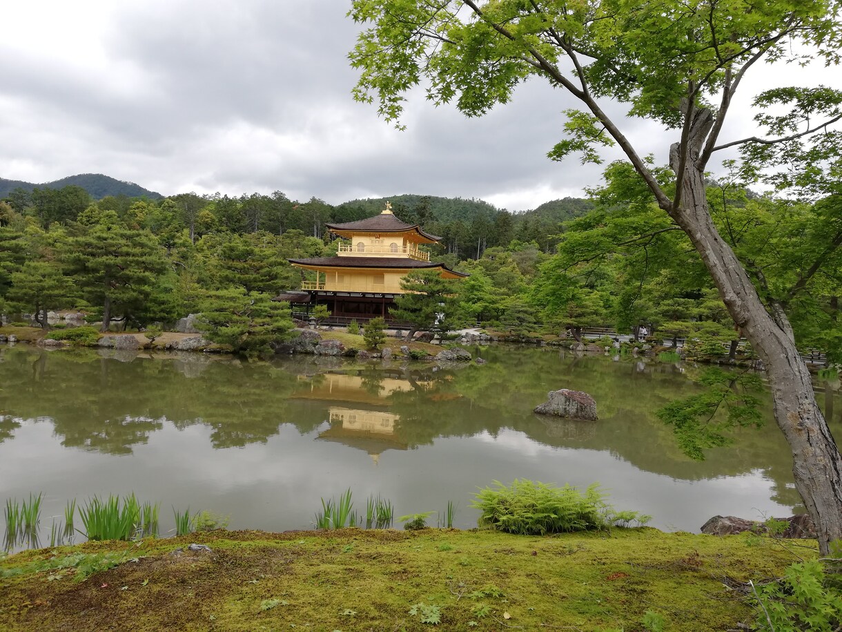 京都のおかみが優しくお悩みをうかがいます 京おかみのはんなりカウンセリングルーム イメージ1