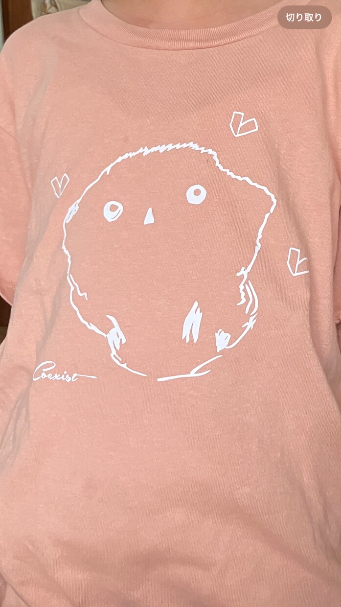 オリジナルアイテム作成いたします Tシャツでもなんでも、デザインから制作まで、いたします。 イメージ10