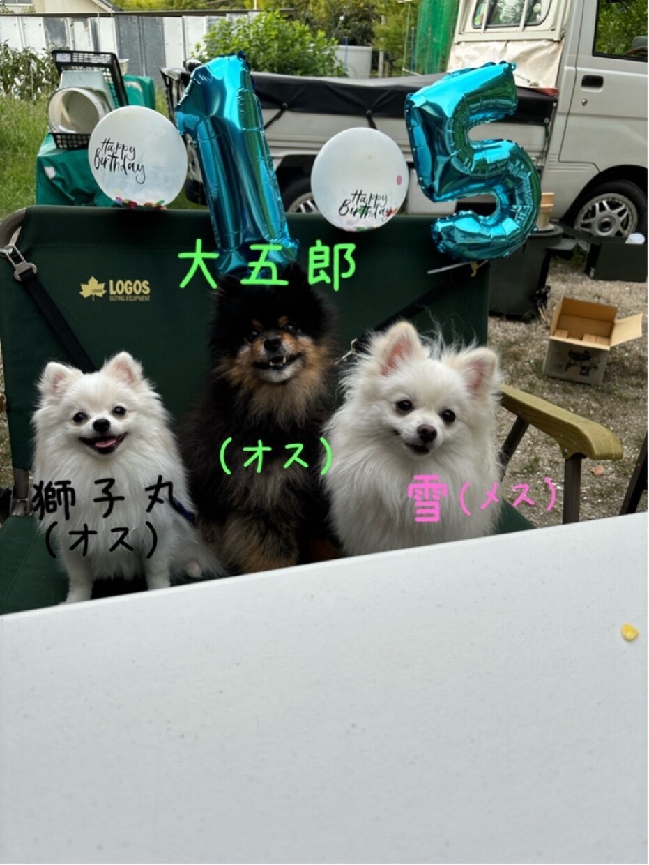 障がいを持ってるお母さんの話を聞きます 人に話すとスッキリしますよちゃんと相談にものります安心してね イメージ1