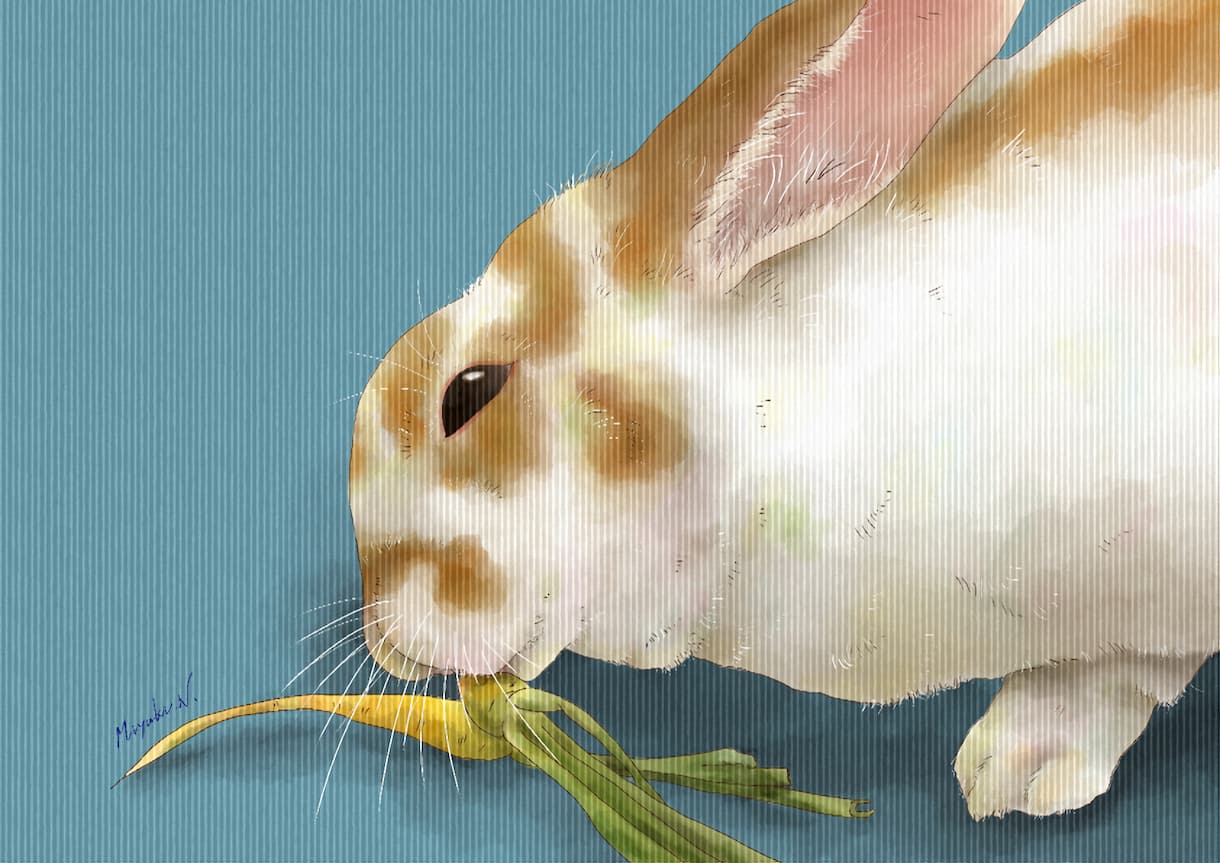 あなたの「うちの子」を水彩画風イラストにします 心に残る、絵本のようなタッチの水彩画風デジタルイラストです イメージ4
