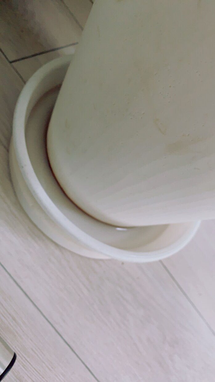 確ます 確す。まはまはまはまはまはまはまはまはまはまはま イメージ1
