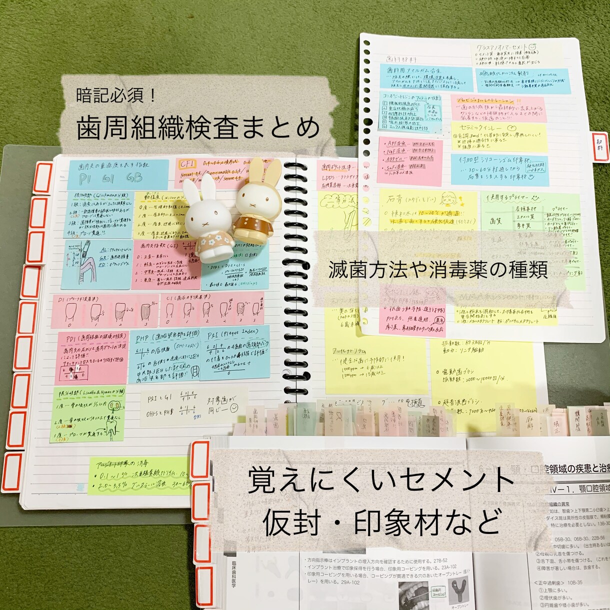 現役DH作成！国試対策まとめノートをお届けします 勉強の時短に！語呂合わせも多数記載しています^_^ イメージ7