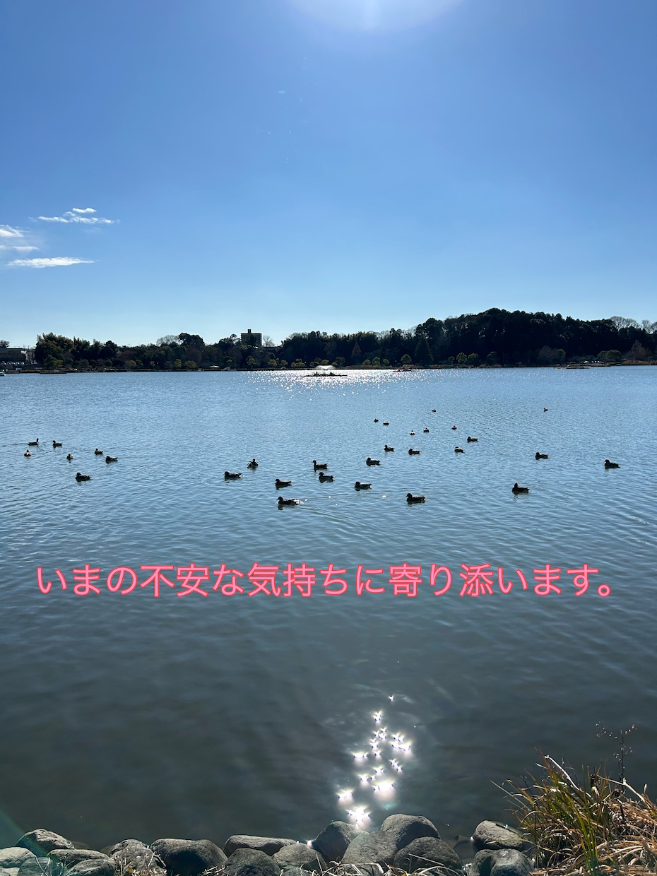 いまの不安と、これからの未来について寄り添います 不安はあって当然です。その不安を受け止めるお手伝いをします。 イメージ6