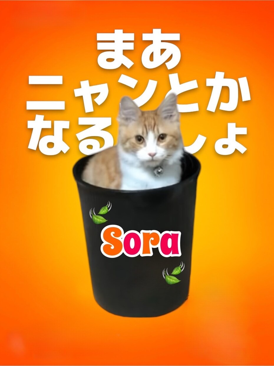 とにかく話を聞いて欲しい、なんか喋りたい方聞きます 愚痴、気晴らし、楽しく、可笑しく雑談したい方向けやでぇ〜♫ イメージ1