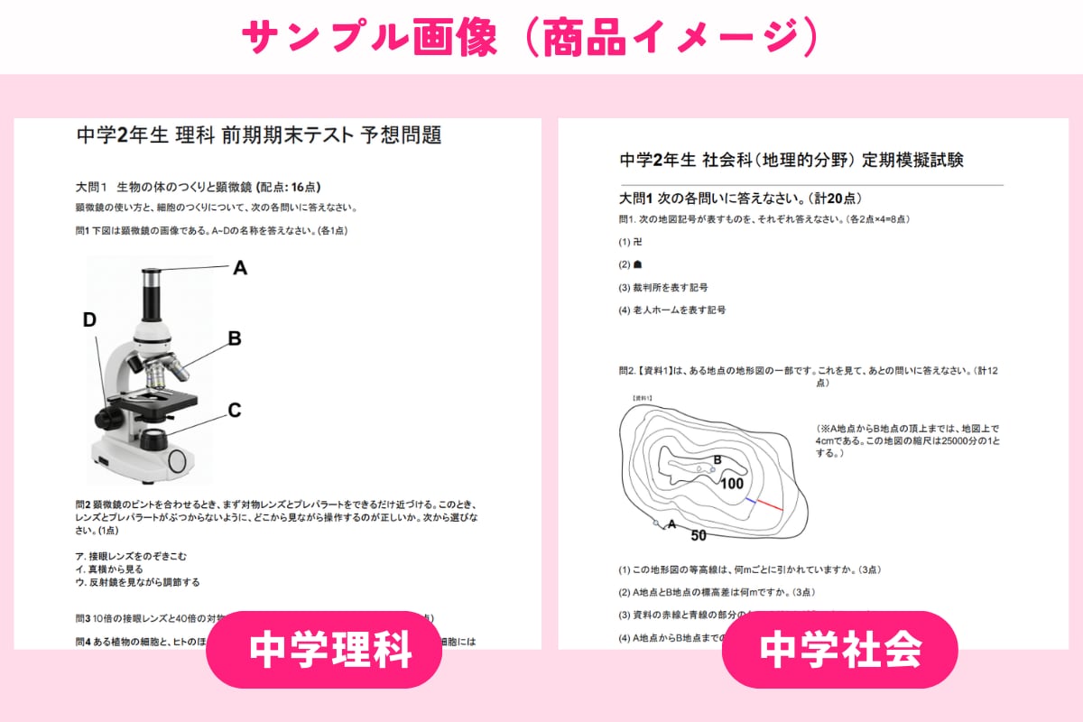 中高生【全科目対応】定期テスト予想問題を作成します 【中高生】数学・理科から副教科まで！全科目対応の予想テスト イメージ2