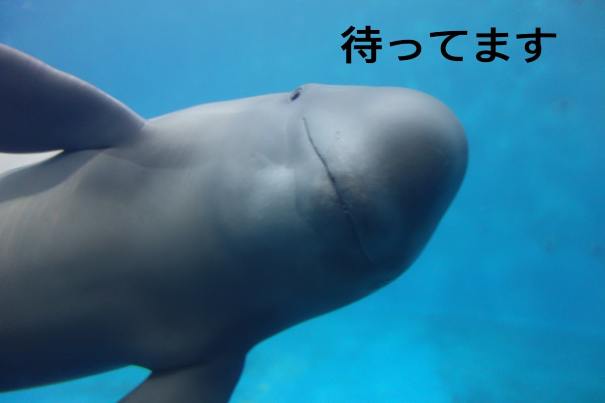 週末で疲れたあなたのお話し聞きます 仕事や家事育児、学校でのことなどお聞かせください！ イメージ3