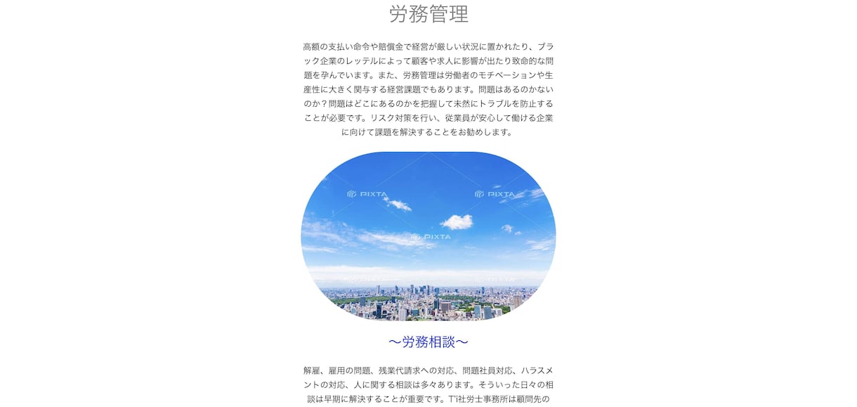 WordPress「有料テーマ」でHP作成します ハイクオリティなホームページを丁寧に制作させていただきます。 イメージ8