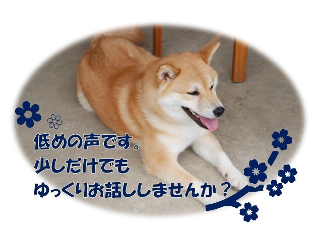 なんでもはなしてくださいひたすらお話を聞きます 大学で心理学を専攻し、現在人材業界で仕事しています イメージ1