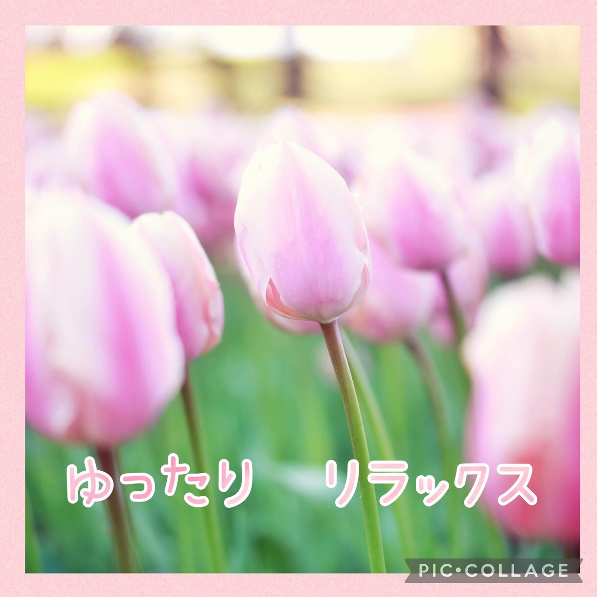 毒親育ちの方のお悩みを伺い心を癒します 自信がない。自己肯定感が低い。そんなお悩みに寄り添います イメージ2