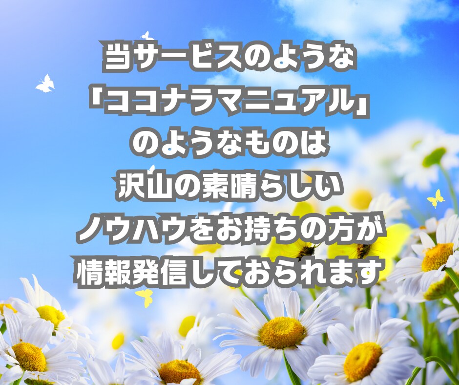 不安を安心に✨ココナラ初心者様用ガイドお届けします ココナラはじめの一歩を安心して踏み出せる！実践が生んだガイド イメージ4