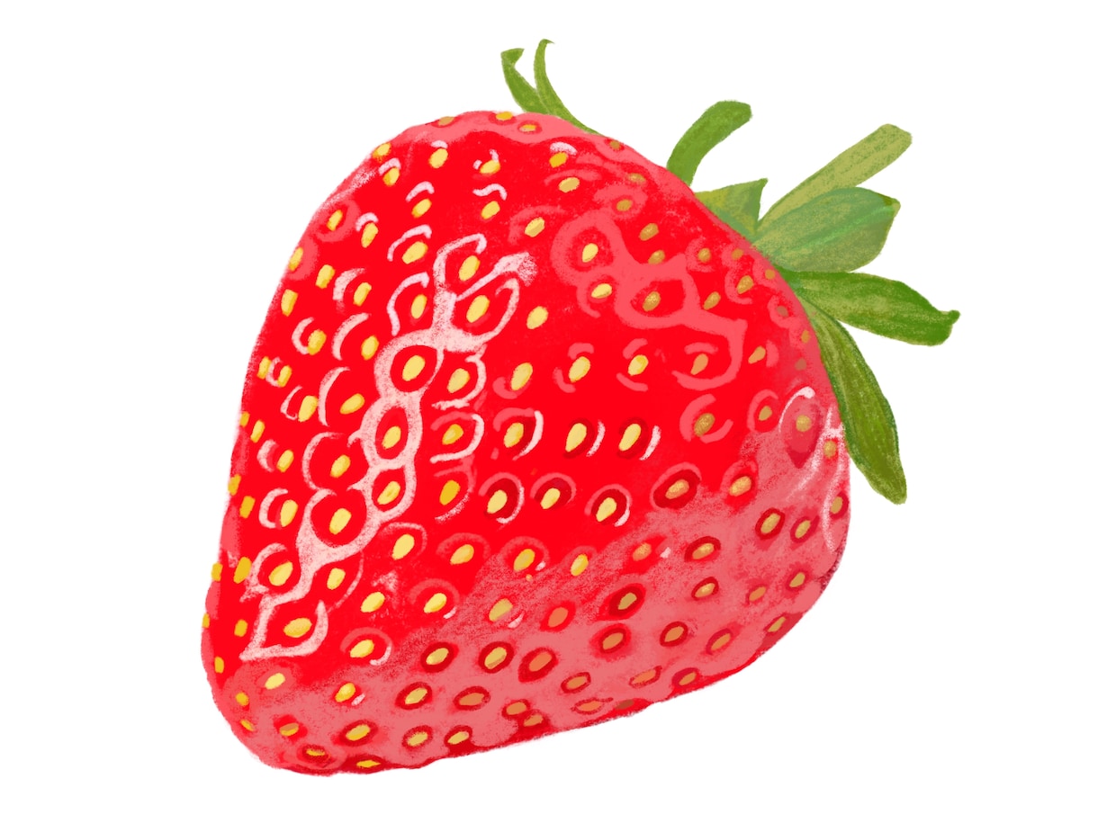 食品・食材イラスト制作します リアルで温かみのある表現であなたの商品メニューを引き立てます イメージ5