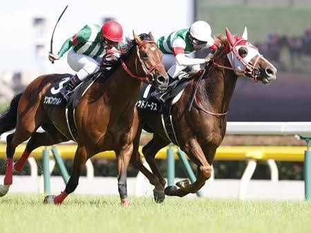 競馬ファン必見！軸馬・穴馬教えちゃいます どんなレースでも任せて！是非参考にしてみてください！ イメージ1