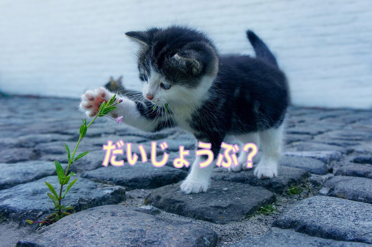 愚痴&お悩みお聞きします ☆小さな事でもお話下さい【女性限定】寄り添いホットライン❤️ イメージ2