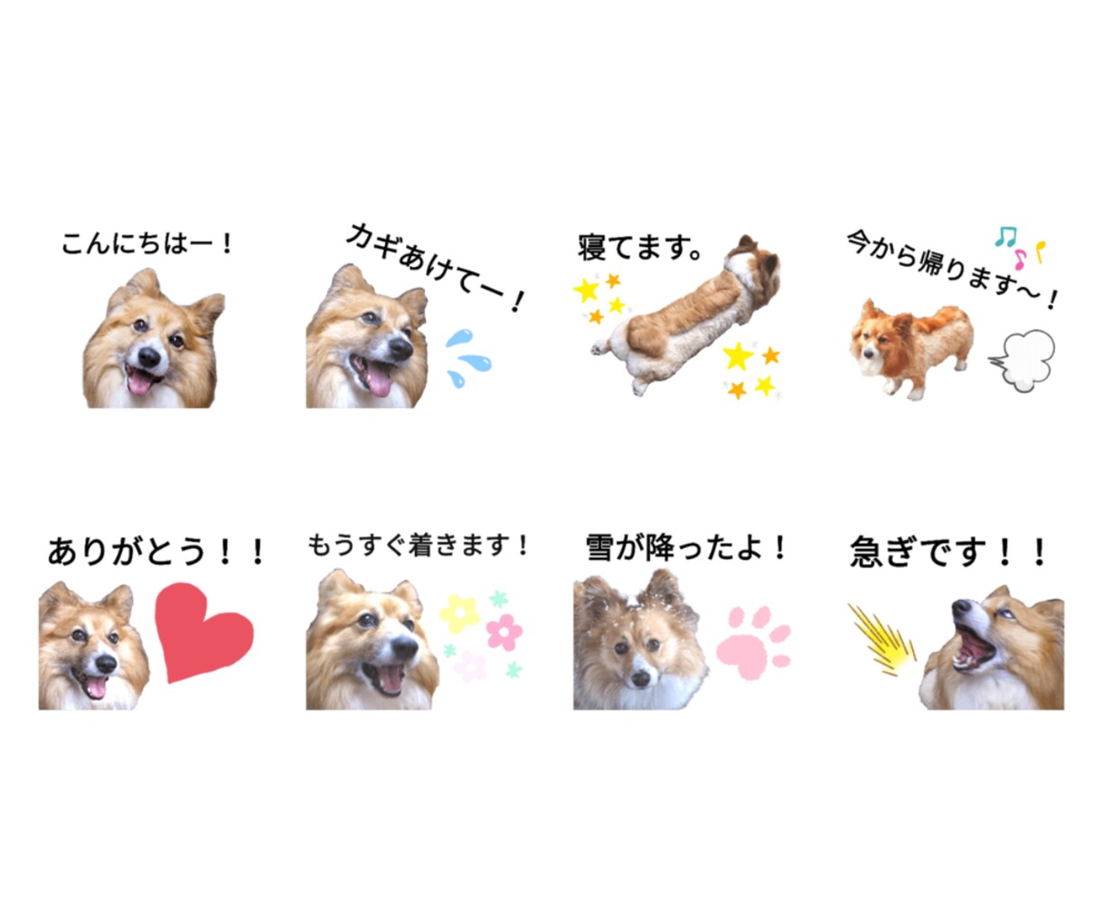かわいいペットのLINEスタンプ作ります スマホ写真OK！色調補正も致します イメージ3