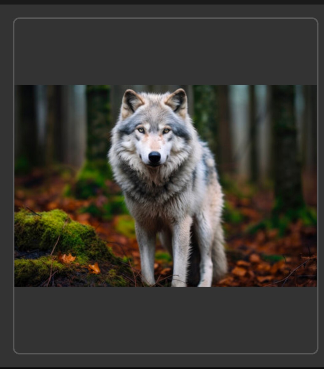 ペット、守護動物、神獣との結び、通訳します ペット、虹の橋を渡ったペット、守護動物等を通訳します。 イメージ4