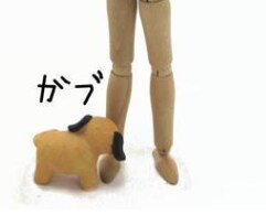 ペットコンサル(お悩みでも愚痴も…お聞き致し)ます ペットの行動・個性に合った方法で、豊かなくらしを…。 イメージ2