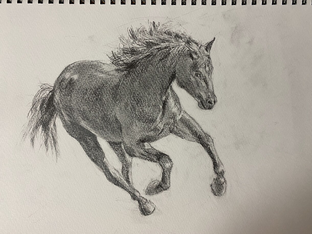 ペット似顔絵　鉛筆やクレヨンで描きます そばにいる、あたたかさをお届けします イメージ8