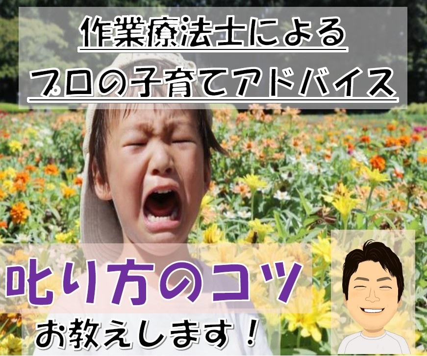 プロの子育てアドバイス／叱り方のコツをお教えします ＊チャット相談＊～叱り方を工夫して、家庭の平和を取り戻そう～ イメージ1