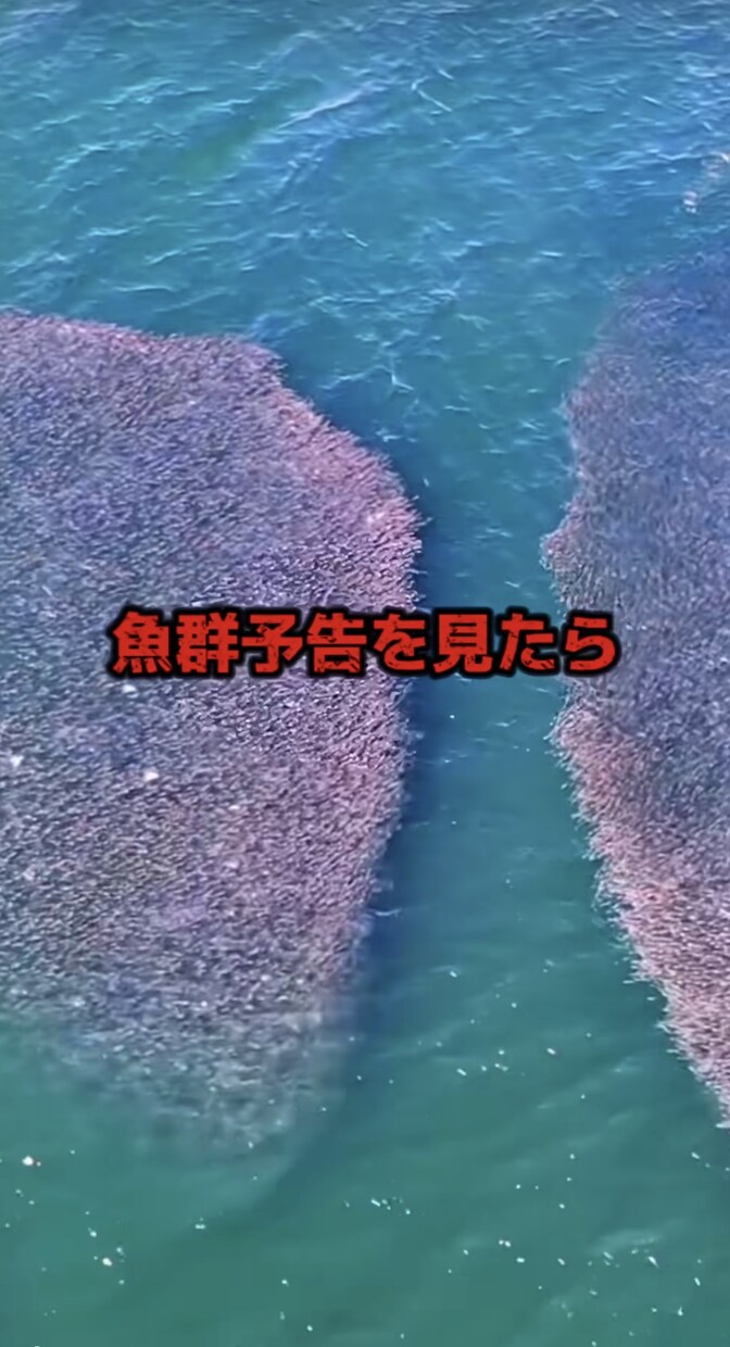 現役インフルエンサーが動画編集させて頂きます 数々のアカウント運用経験を活かし皆様の力になります イメージ7