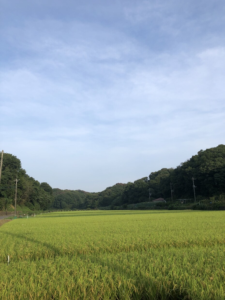 大切な家族ペット、恋人、友人の悩みを優しく聴きます 癒しの空間　ペットのお話　温かくお守り致します。 イメージ3