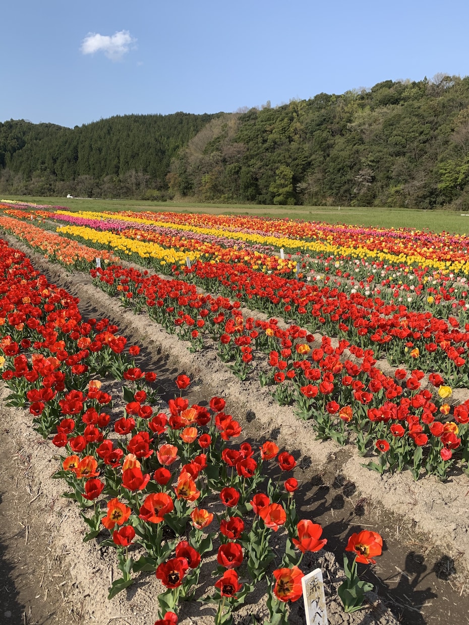 毎日頑張ってるあなたを全力で褒めさせていただきます 誰もがみんな頑張ってる！当たり前じゃないんだよと イメージ1