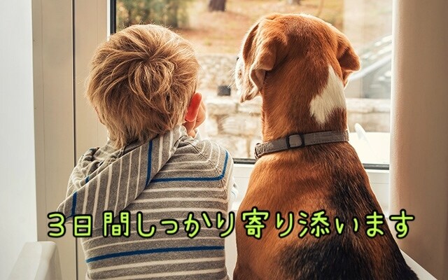 DV男に苦しんでいる方、全力で寄り添います 離れてからも色んな感情込み上げてきますよね イメージ1