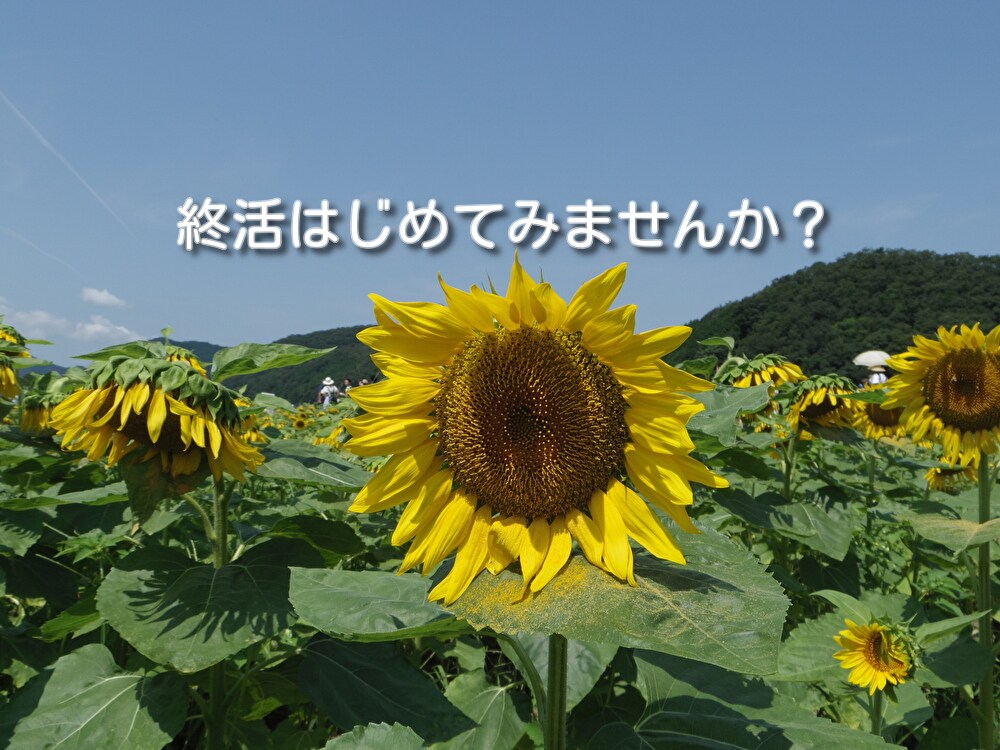 終活のプランニングとアドバイスをします 今、終活はじめてみませんか？終活の専門家がアドバイスします。 イメージ1