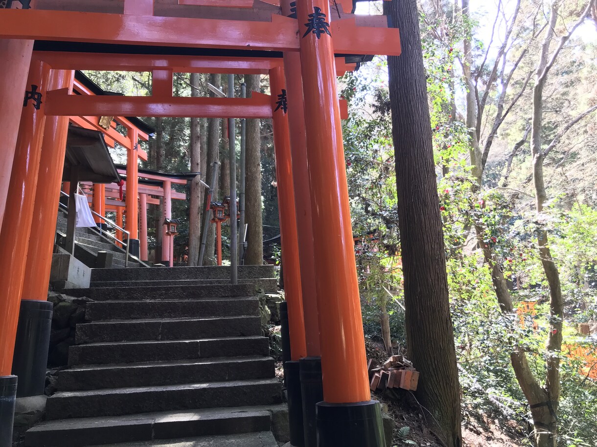 現在の恋愛での悩みの結果を善き方向に変えます 恋愛の苦しさは、本当に辛く、考え方を間違えれば心身蝕みます。 イメージ2