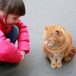 ペットさんの気持ちをお尋ねします 大切なペットさんの心の架け橋のお手伝いができたら嬉しいです イメージ3