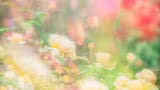 霊視透視でみます　お試し価格にしています ピンときた方♡片思い　恋人　恋愛　夫婦　人間関係　仕事 イメージ3
