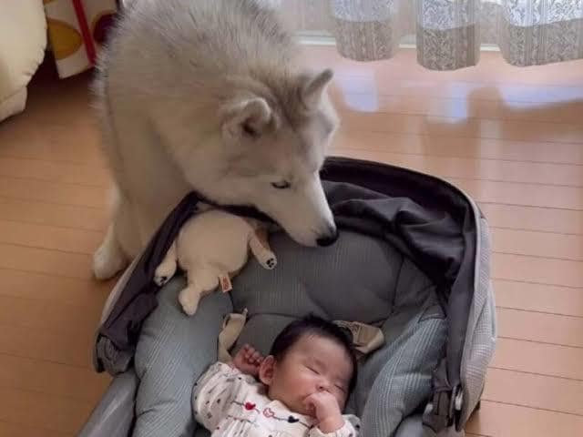 小さな家族が何を考えているか占います 大切なこの子は何を考えているの？知りたくありませんか？ イメージ1