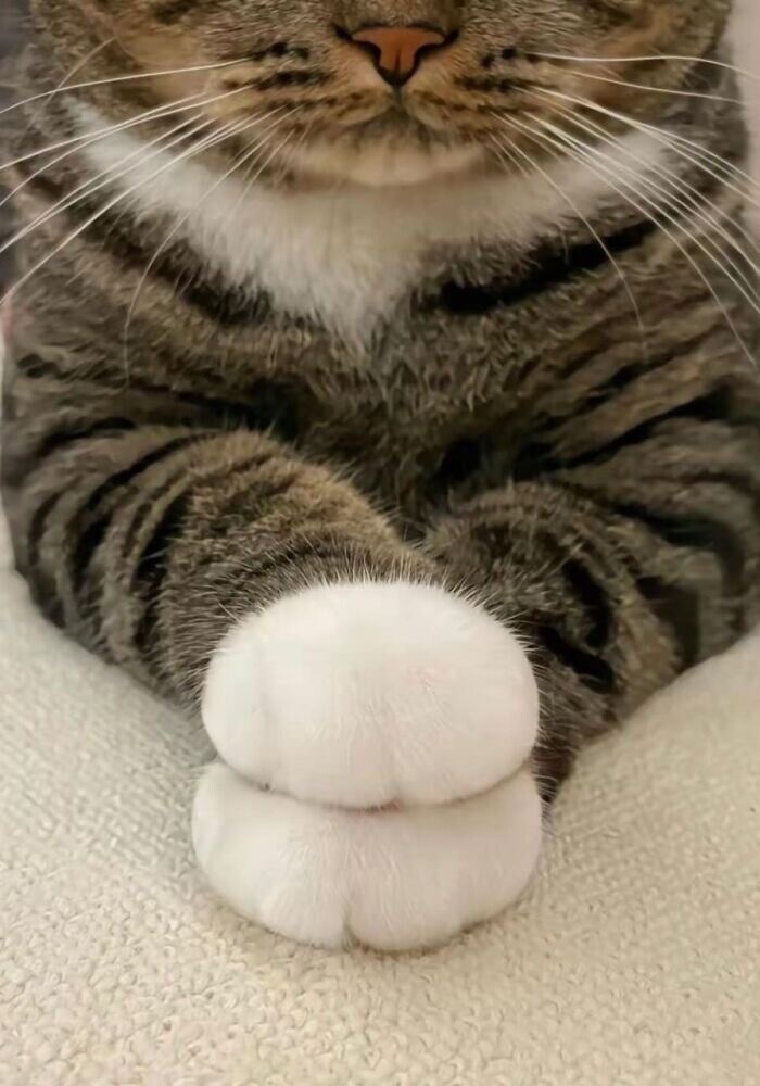 自責がつらい方へ自己対話と心の整理手伝います 自分を大切にしたいあなたの気持ちの見える化をサポートします イメージ3