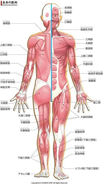 歌初心者〜中級者の人に技術を自分だけのものにします 歌の悩み？任せてください解決しますよ イメージ2