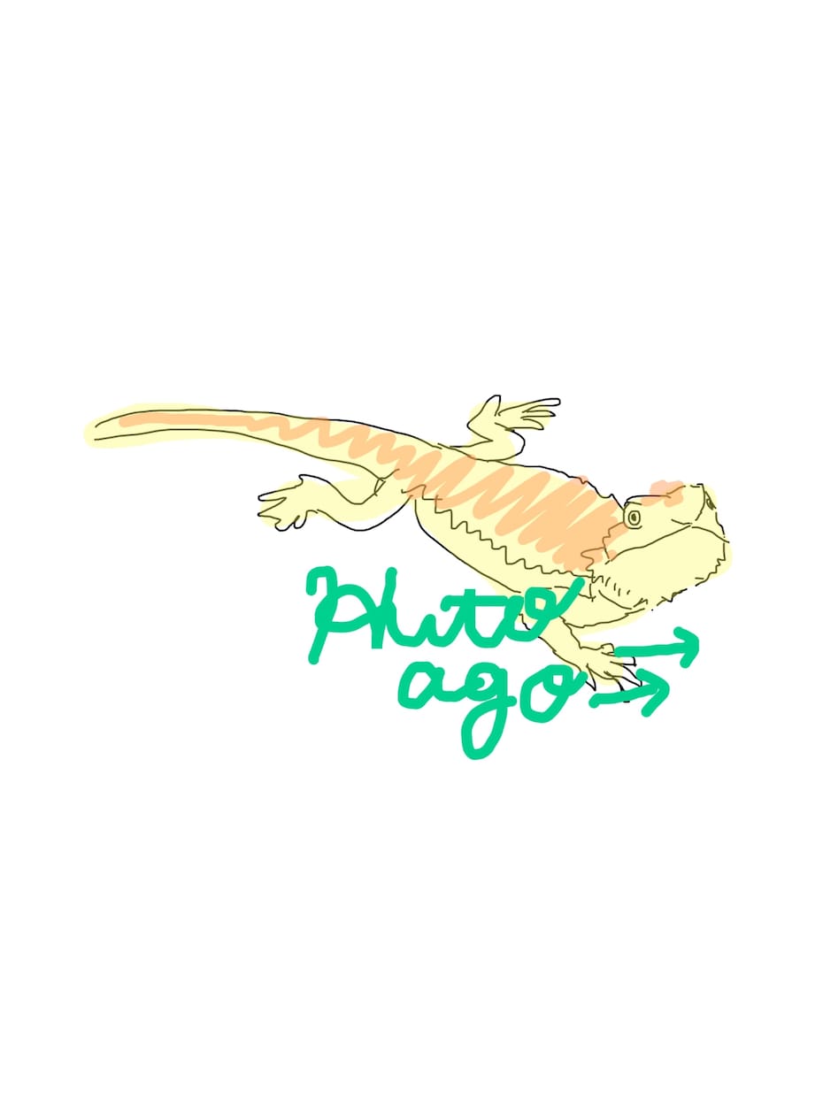 ペットの絵を5枚描きます 大事なペットの思い出を残しましょう！お手伝いさせてください！ イメージ4