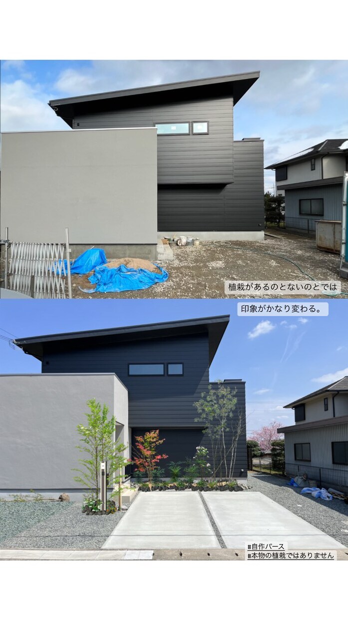 植栽デザインを提案します 空間をより彩るには植栽デザインが必要です❗️ イメージ2
