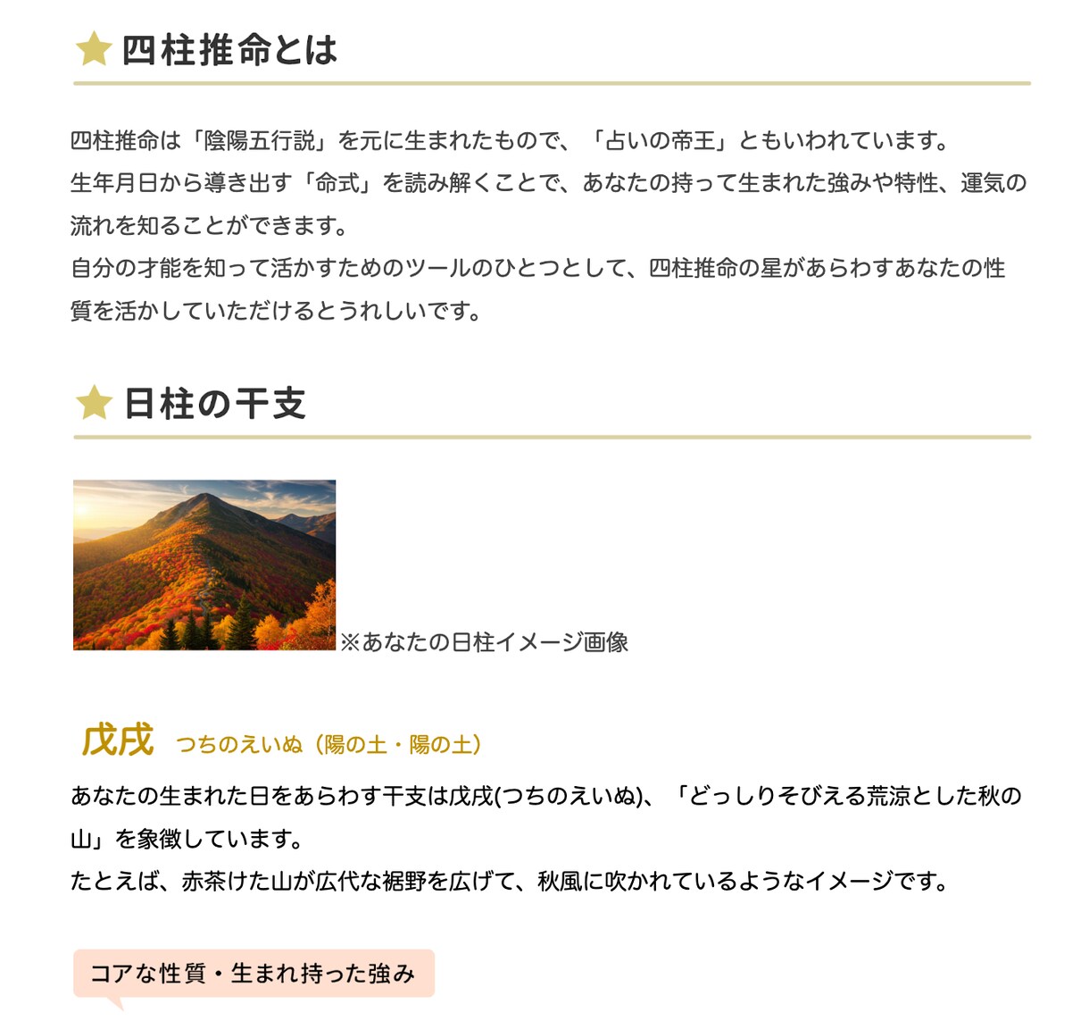 5000字超のあなただけの四柱推命鑑定書作ります あなたの人生を深く読み解くお手伝いさせてください。 イメージ4