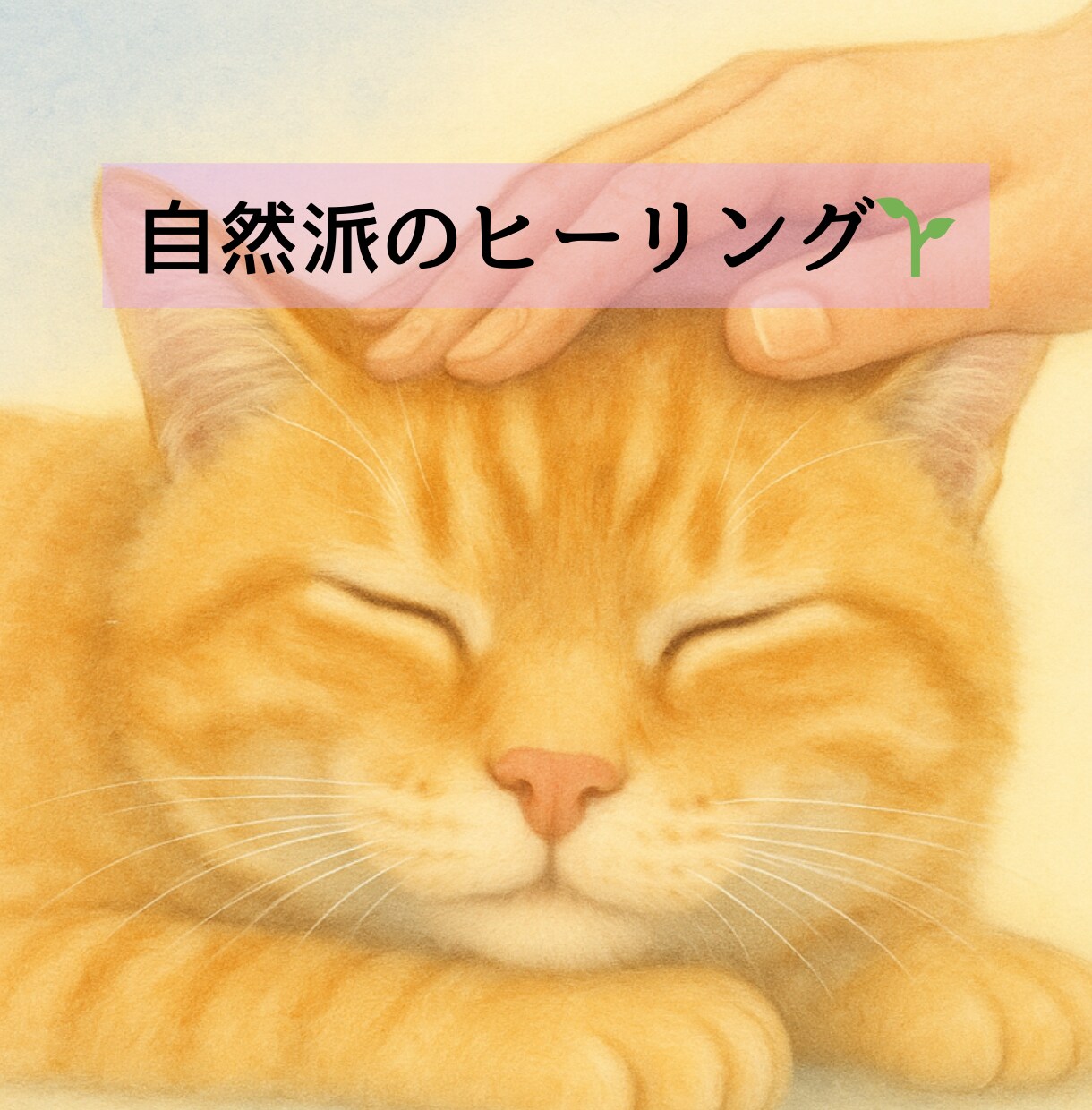 シニア犬猫専門｜遠隔レイキヒーリングをお届けします 高齢のわんちゃん・ねこちゃんのための優しいヒーリングケア イメージ4