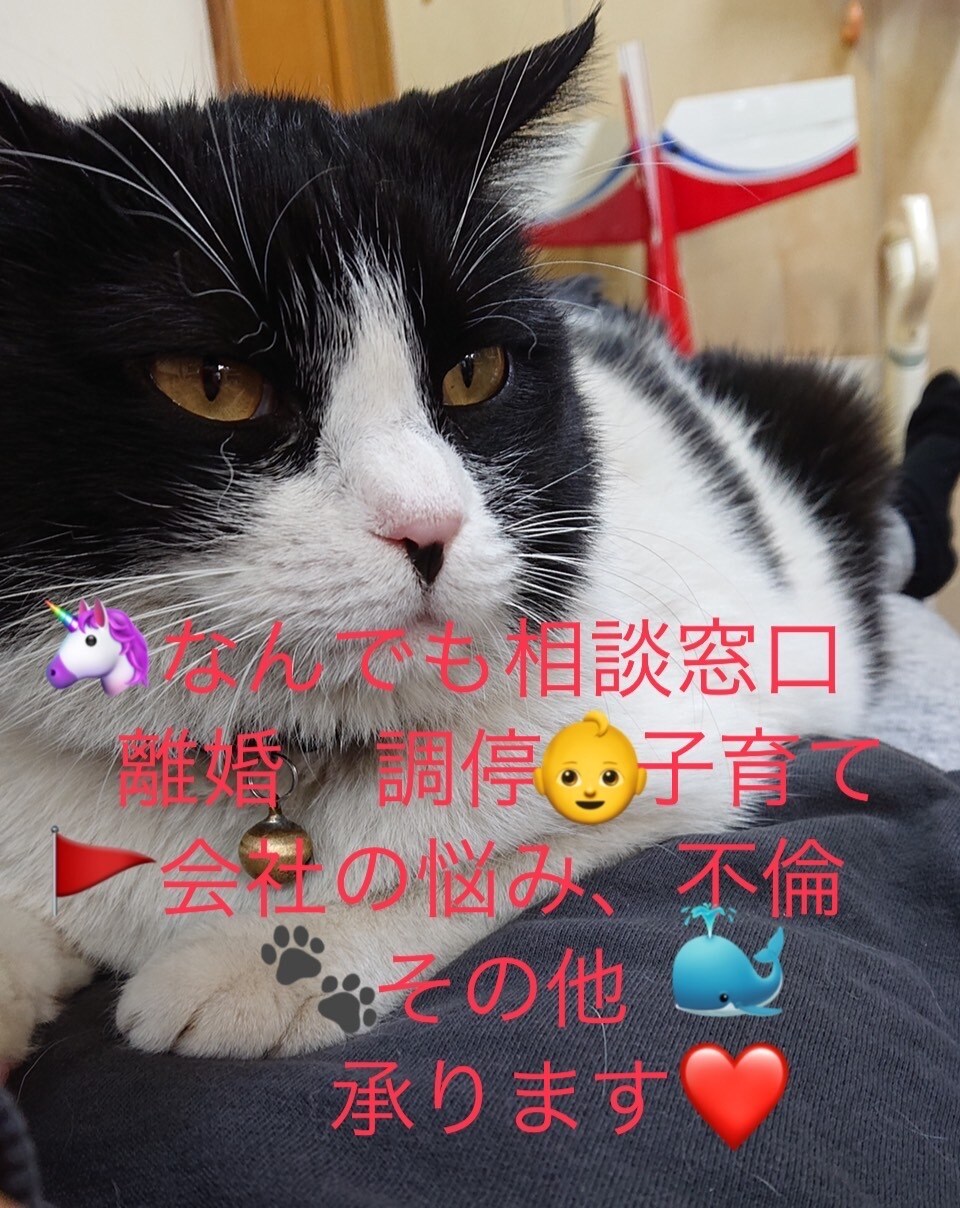 不安な事、お悩み、愚痴シングルマザーが聞きます 最後には背中を押してくれるカードリーディングもあるよ！♪ イメージ1