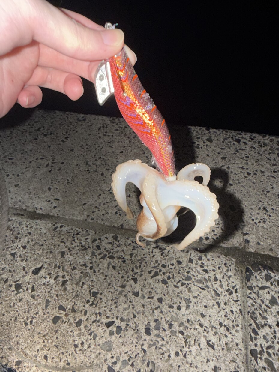 釣りを始めたい方に0から丁寧にアドバイスします 釣りで必要な道具の購入や釣り方を0から丁寧にサポート！ イメージ2