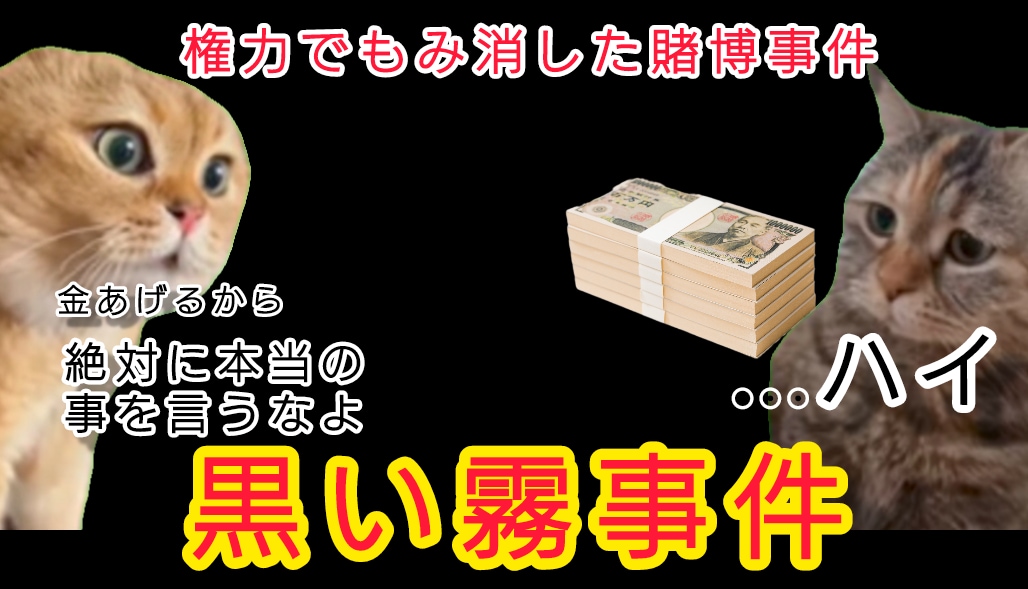 台本丸投げ、即日納品OK!猫ミーム動画作ります 即日納品希望の方はご依頼時に「即日納品希望」とお書きください イメージ2