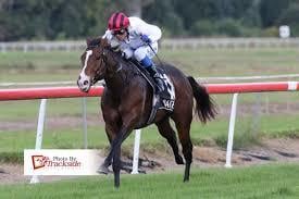 元騎手がリバウンドしないダイエットをサポートします 約20年間競馬界で培った食べて痩せるダイエットでサポート イメージ3