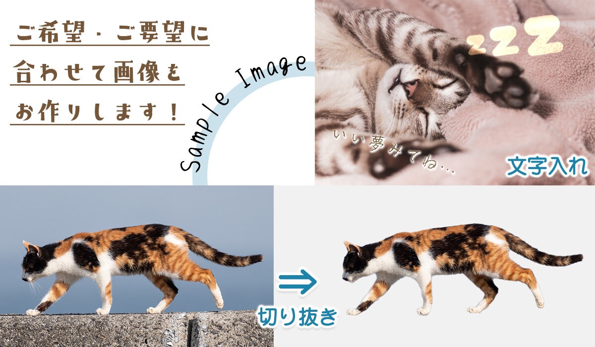 必要に応じた画像加工承ります 切り抜きから映り込み消去まで対応可能 イメージ1