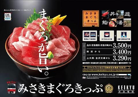 あなたの代わりにみさきまぐろきっぷの下見行きます 「みさきまぐろきっぷ」「三浦半島まるごときっぷ」にオススメ！ イメージ1