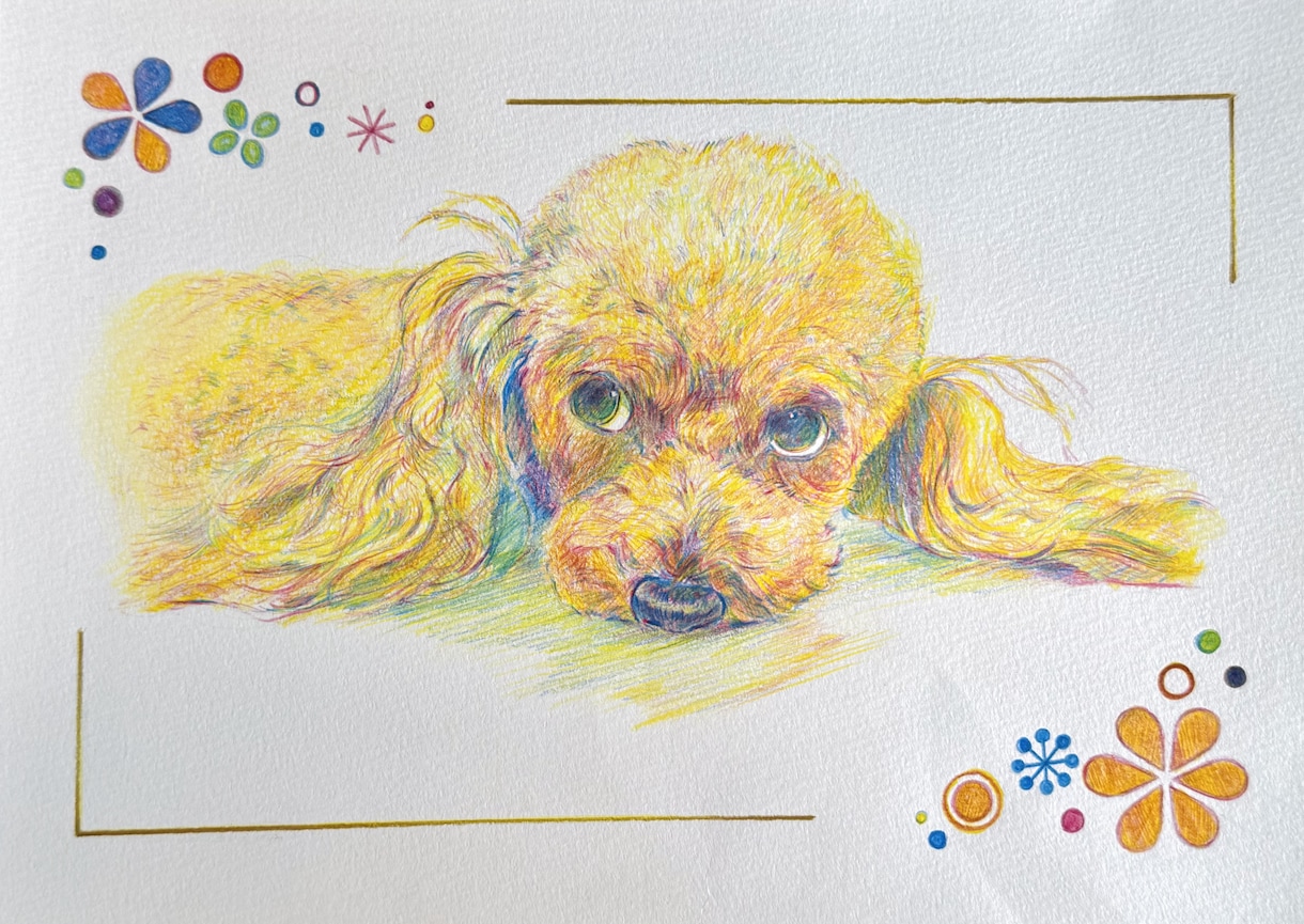 色鉛筆で大切なペットを描きます 記念日やプレゼントに！温かみのある絵を提供します♪ イメージ3