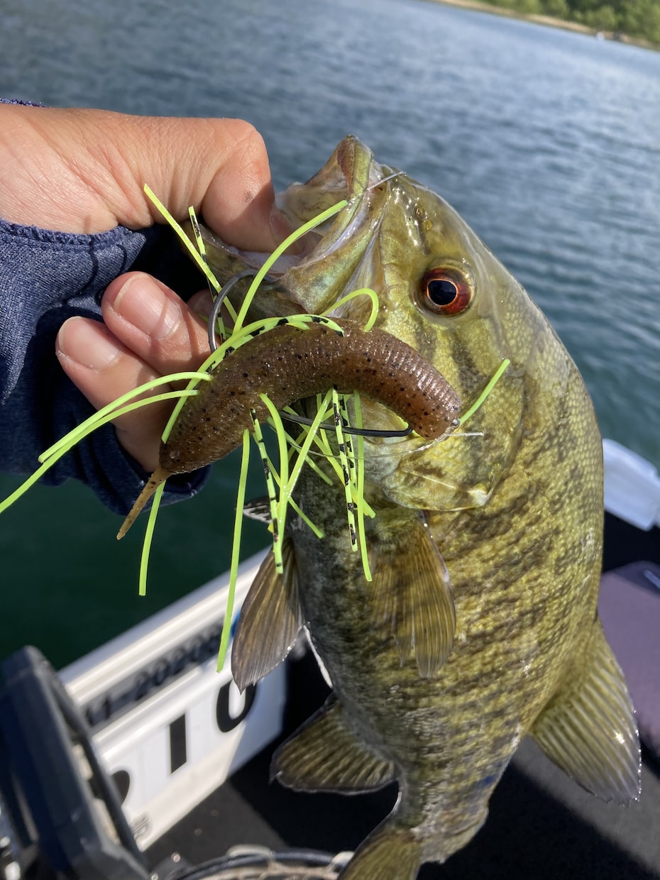 桧原湖でバス釣り釣果の上がる３つの基礎を伝授ます 1人でも多くの方に桧原湖を好きになってもらいたい想いです！ イメージ2