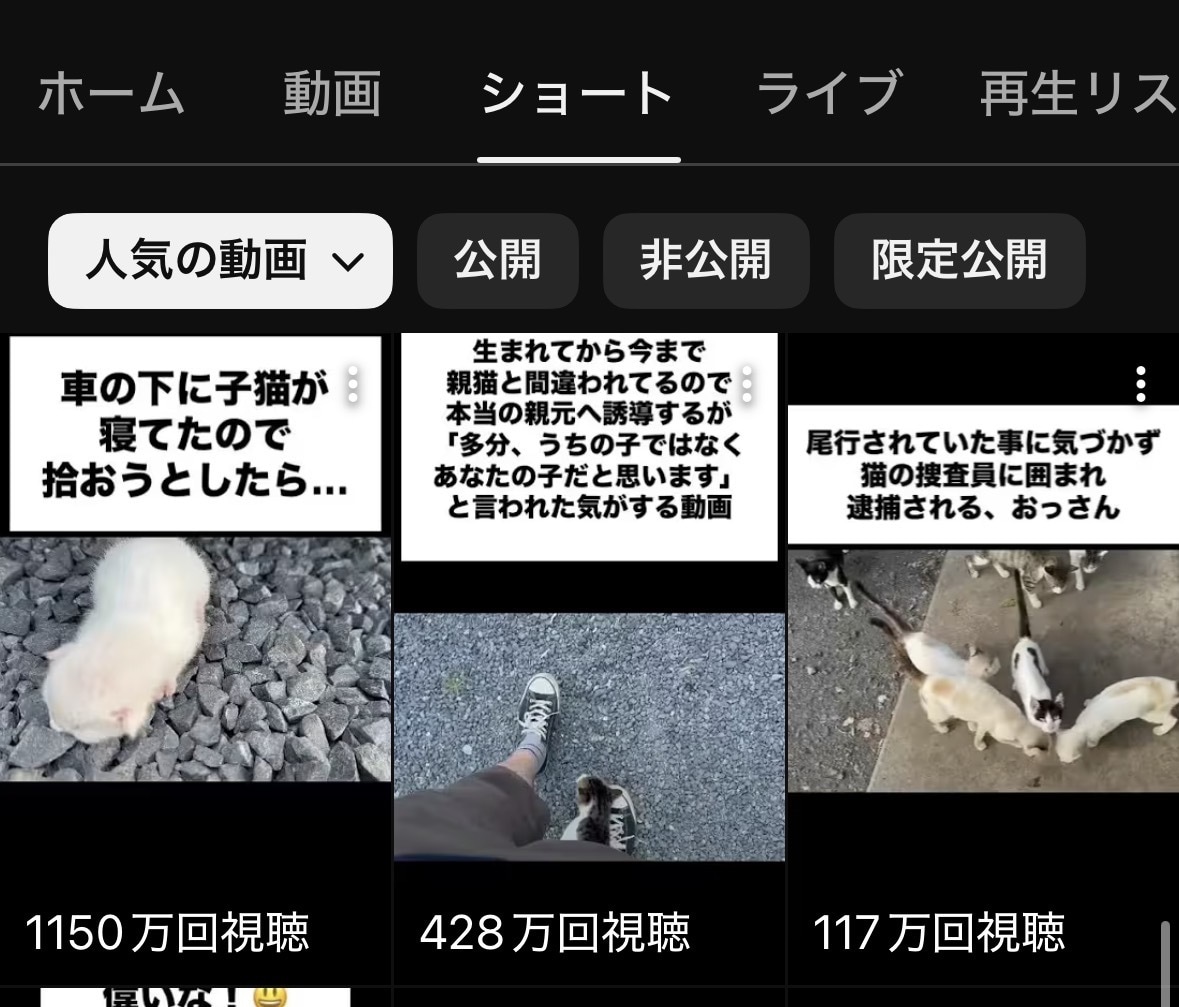 ショート動画など制作代行いたします チャンネル登録者が4000人の私が再生される動画をお手伝い イメージ2