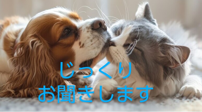 心軽やかに！スッキリして下さい。愚痴お聞きします 気持ちリフレッシュ！ストレス解消タイム。気軽にお話し下さい！ イメージ6