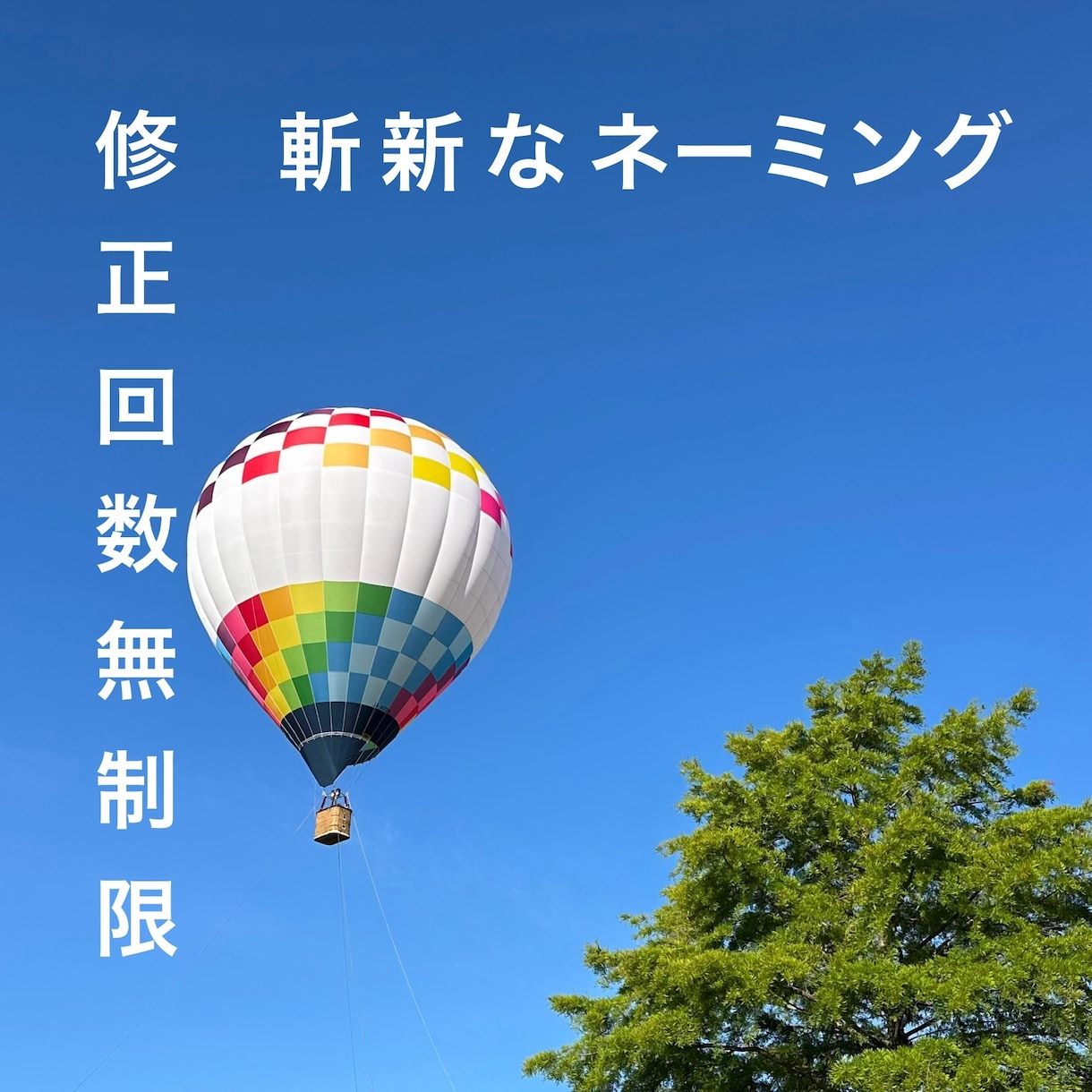 一度見れば脳に残るネーミングを考えます 商品開発、企画などで斬新なネーミングを欲している方へ。 イメージ2