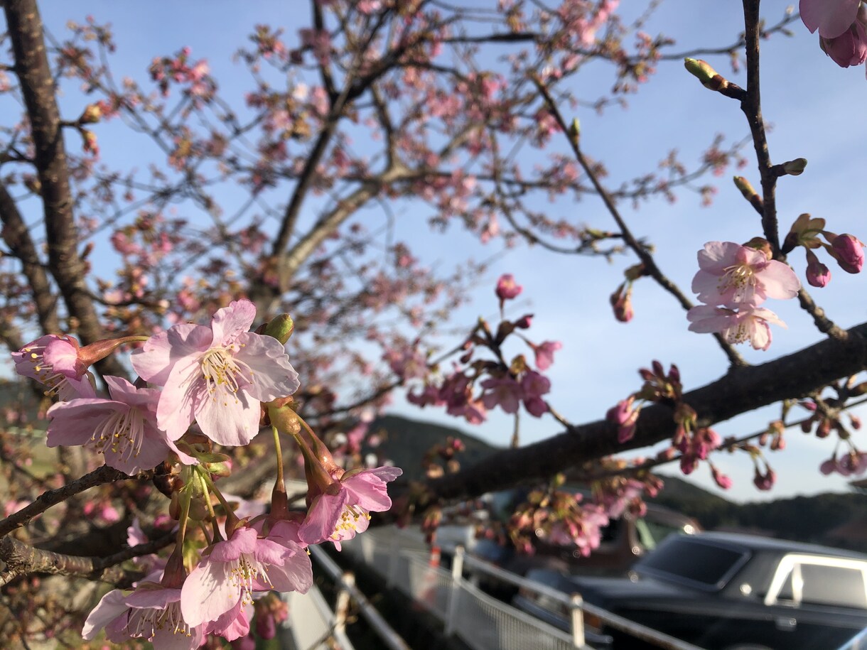 話を聞いてほしいあなたの話し相手になります お友達感覚で現役大学生にモヤモヤを愚痴ってみませんか？ イメージ1