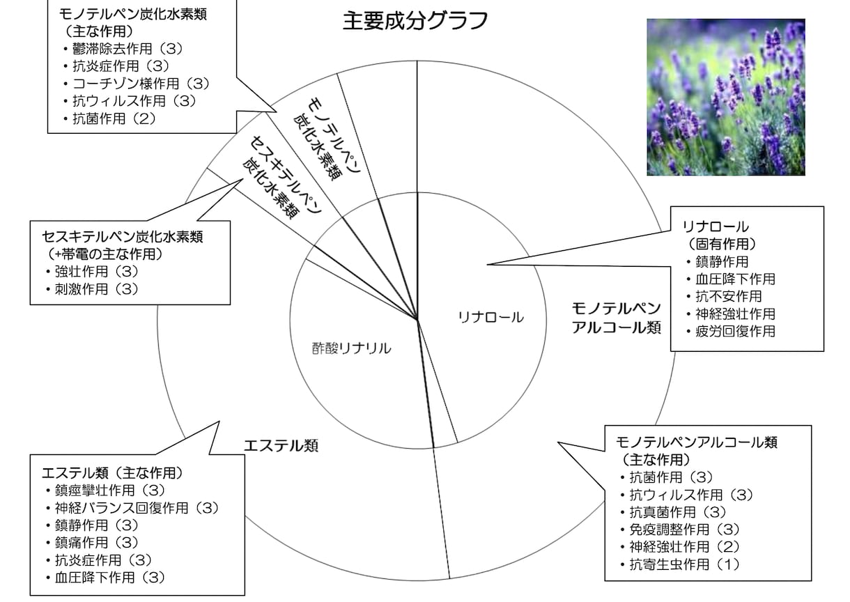 メディカルアロマのテキストを提供します 【大人の学び】メディカルアロマの基礎を学びませんか？ イメージ3
